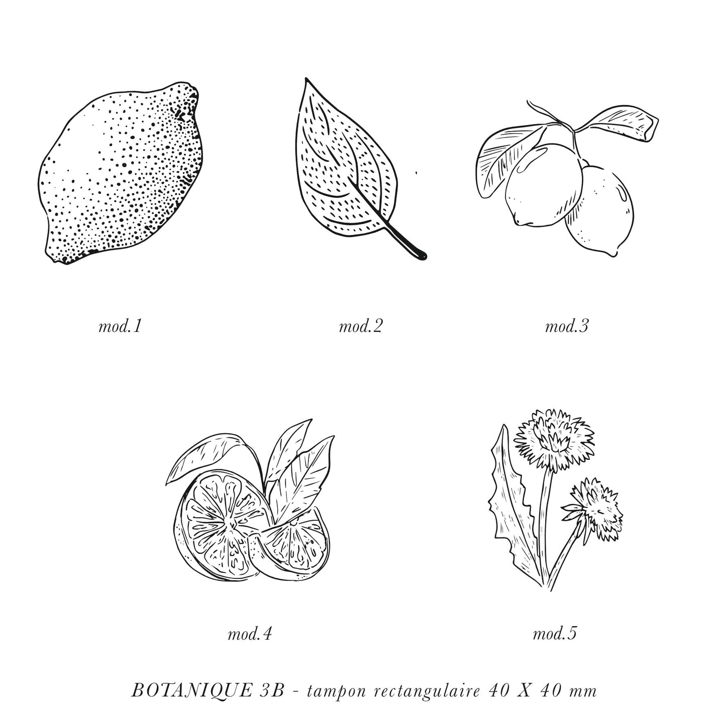 Tampon botanique 3B