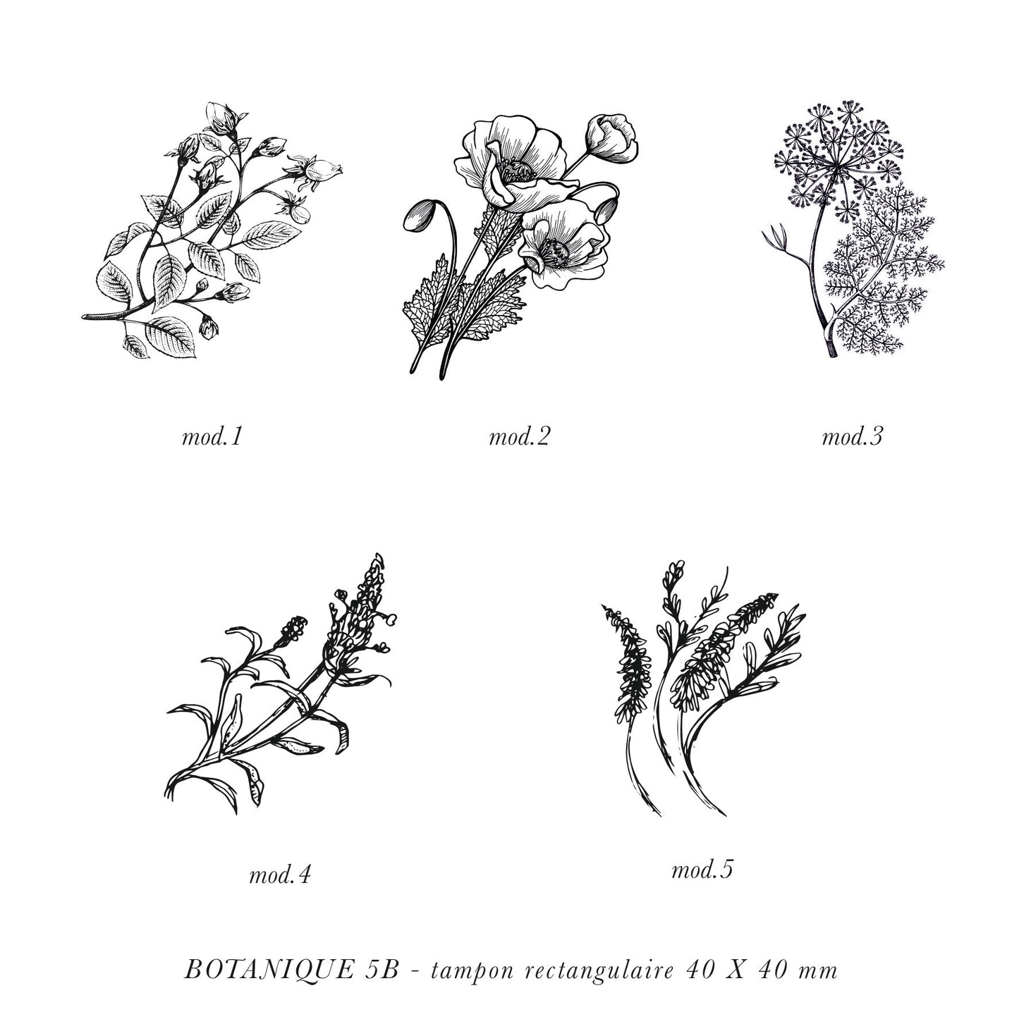 Tampon botanique 5B