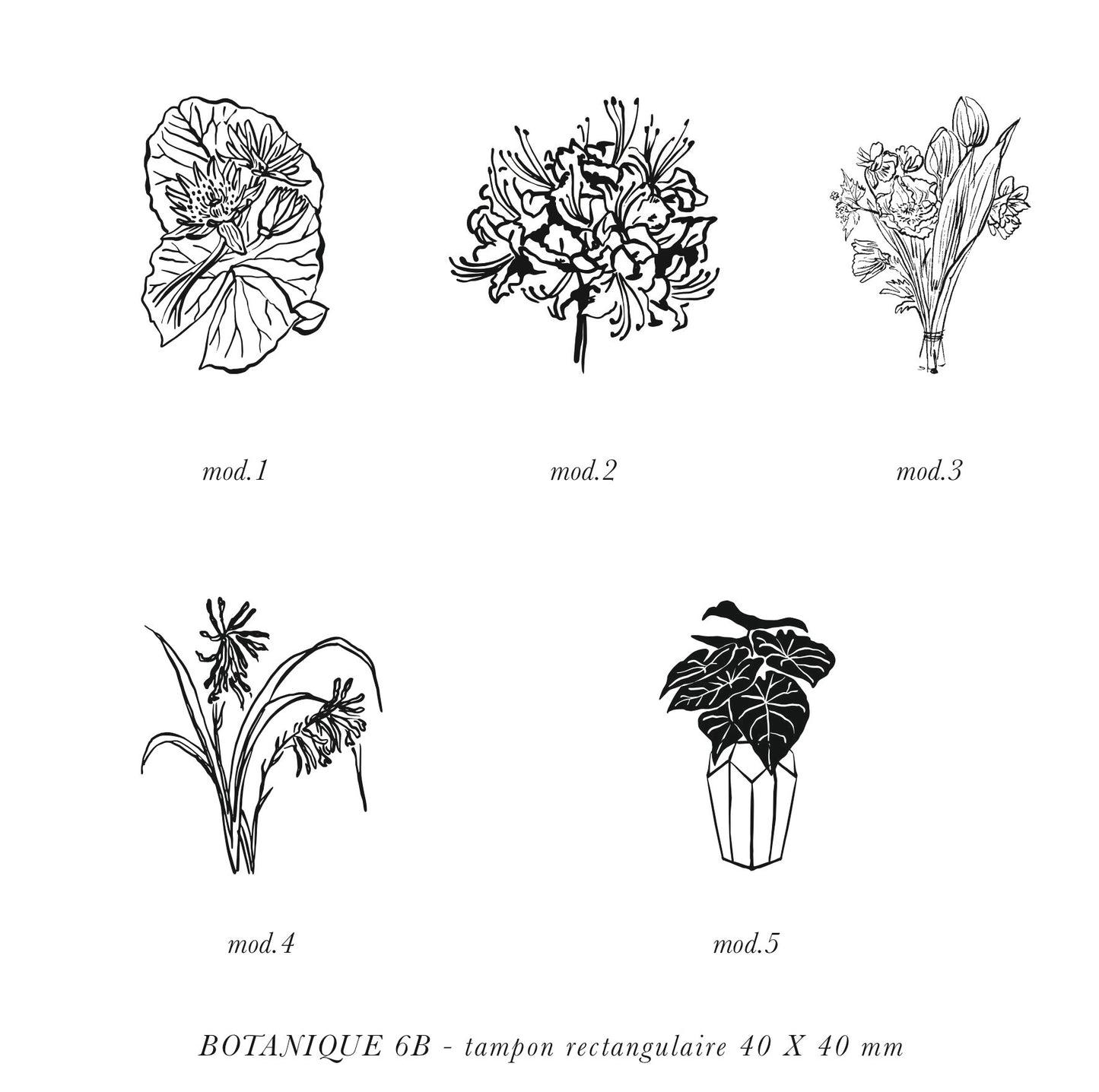 Tampon botanique 6B